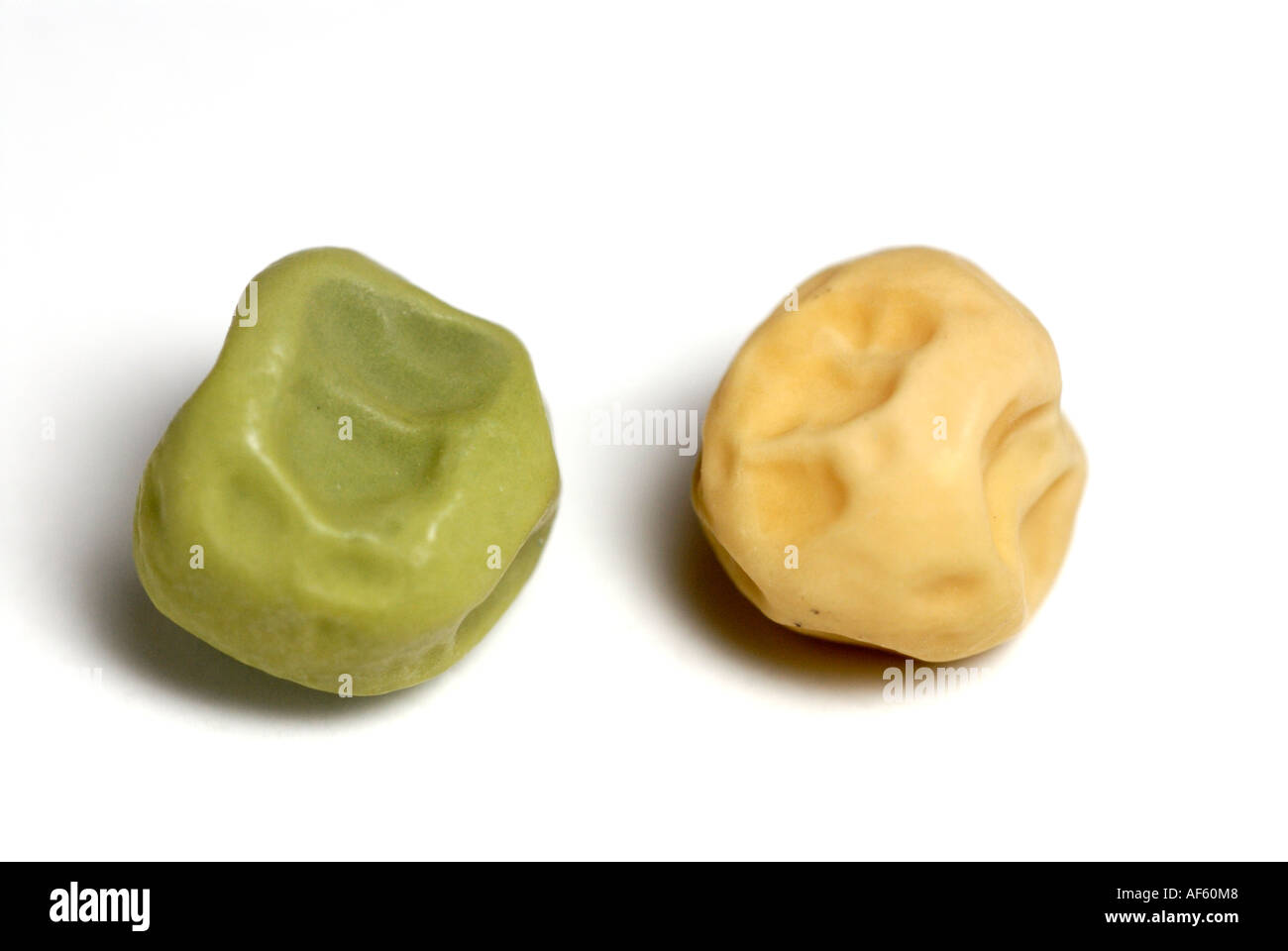 Green and yellow wrinkled pea seeds, traits Gregor Mendel studied in