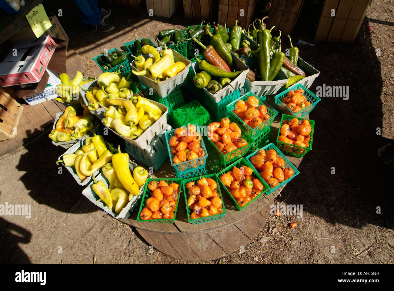 Peppers for sale at Naples Florida FL roadside fruit and vegetable