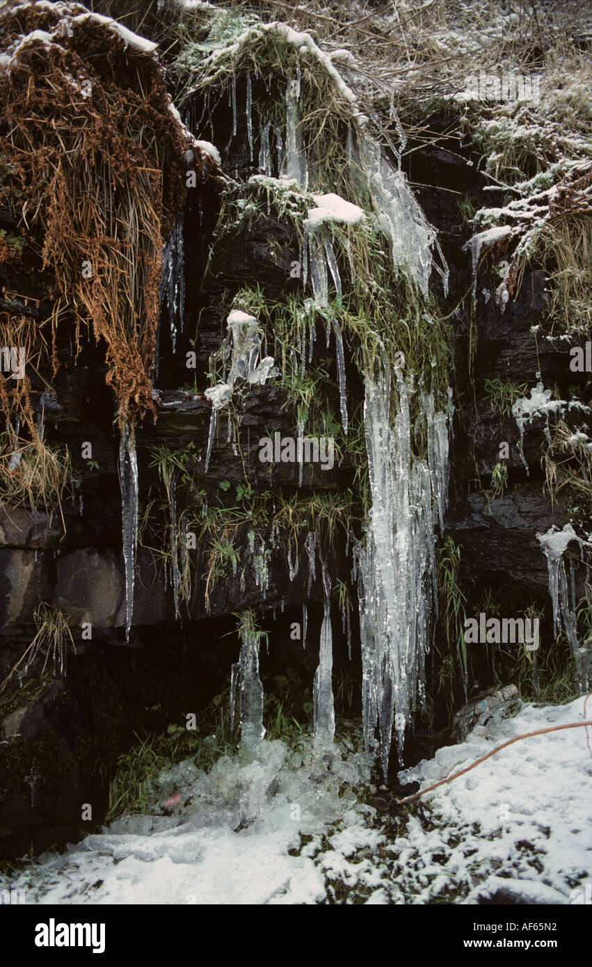 Icicles forming from rocky outcrop in February West Yorkshire Stock Photo
