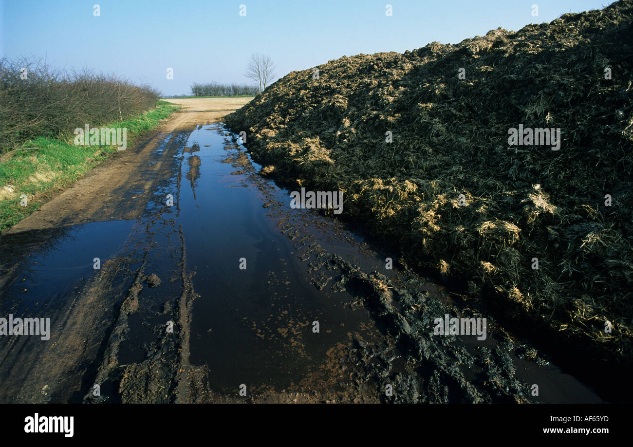 Farm manure heap with effluent seeping onto farm track after heavy