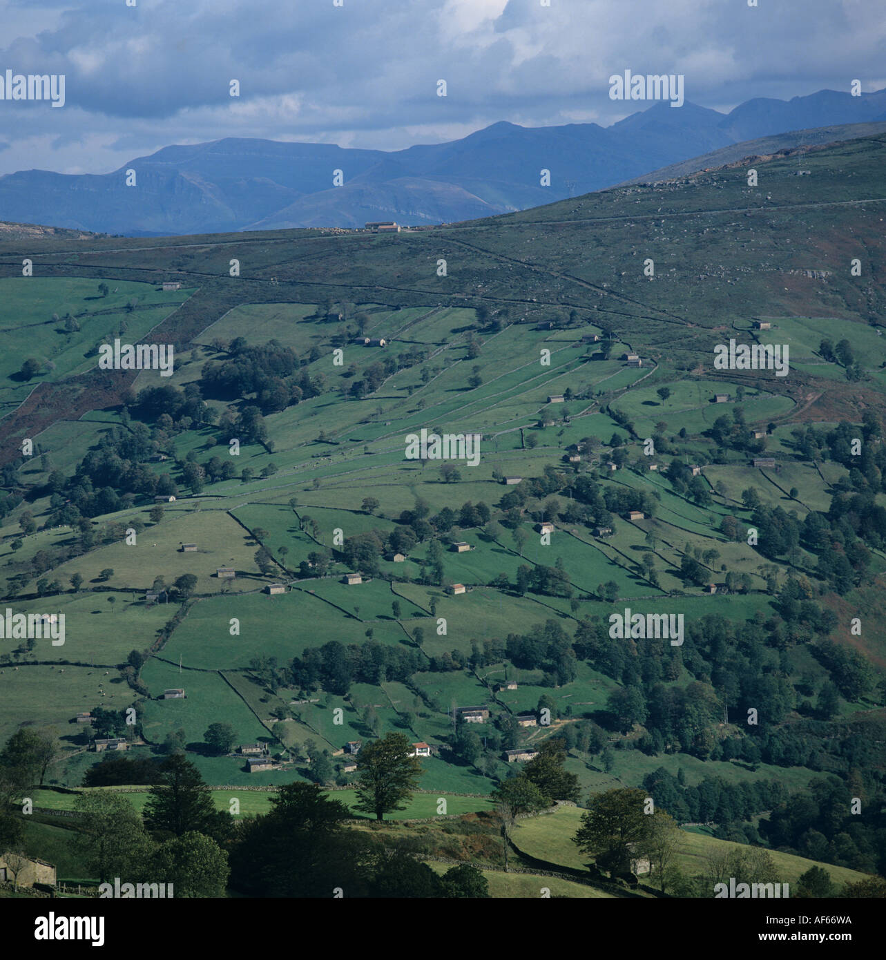 Hill farmland in the Picos de Europa Spain between Burgos Santander Stock Photo