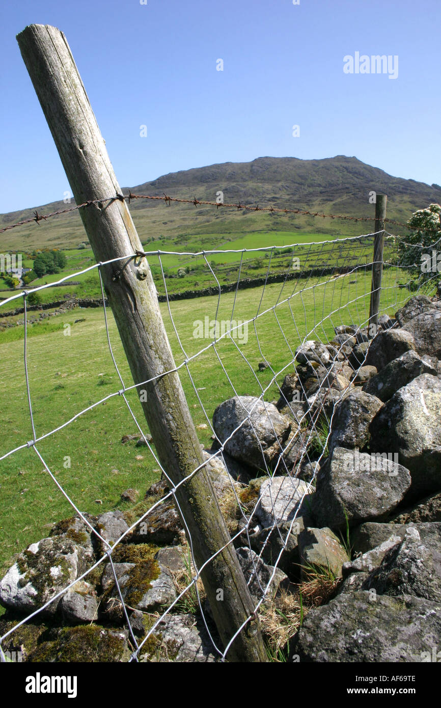 Stone wall in field in the Cooley Mountains near Omeath, County Louth, Ireland Stock Photo