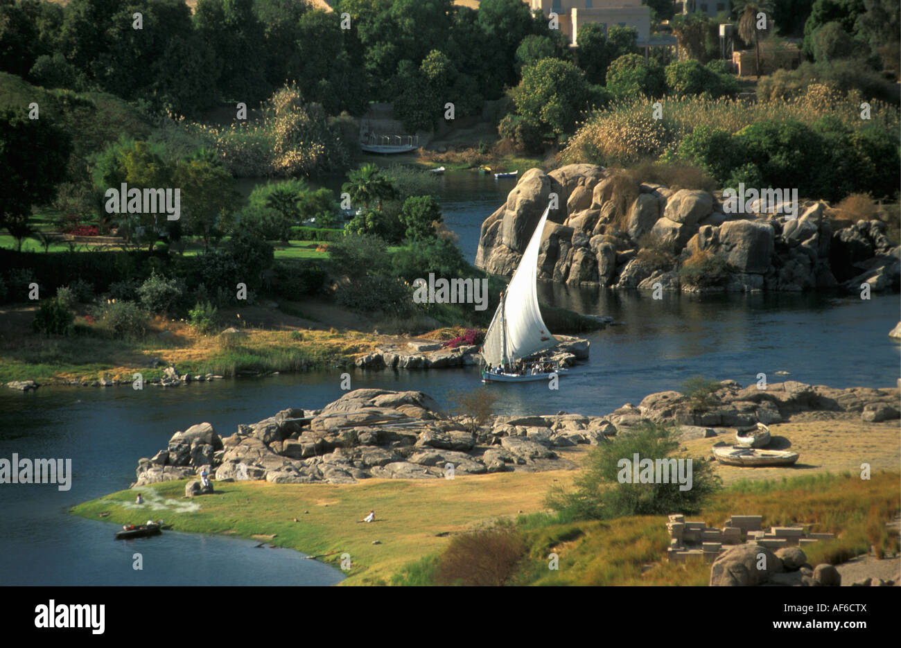 Egypt Aswan Felucca sailing on Nile River Stock Photo - Alamy