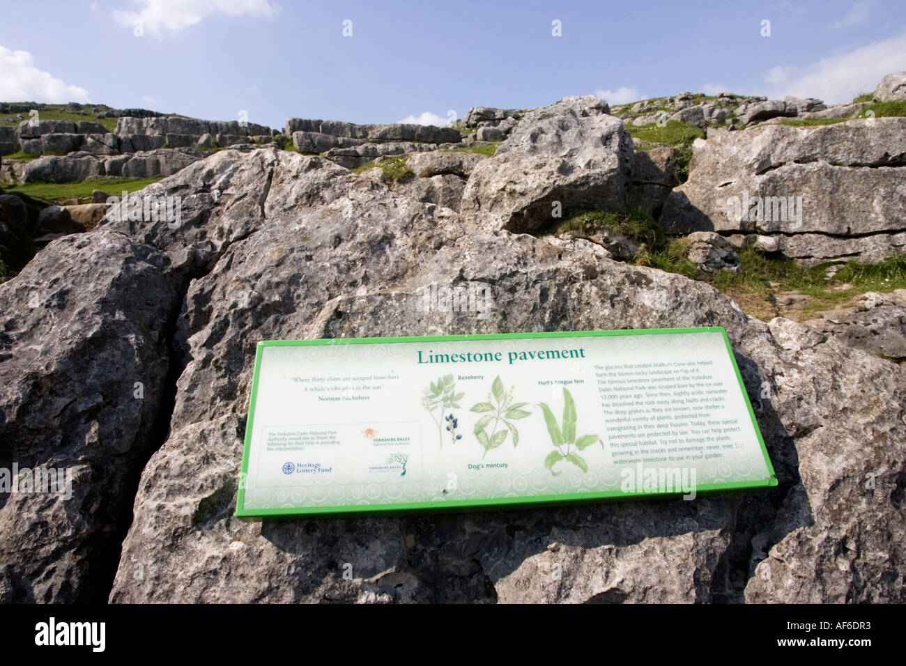Limestone acid rain hires stock photography and images Alamy