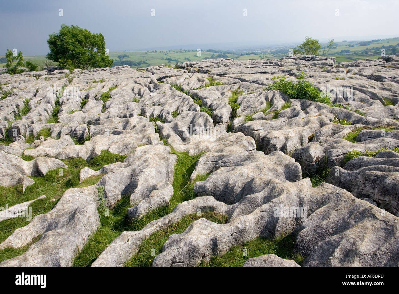 Acid Rain Limestone