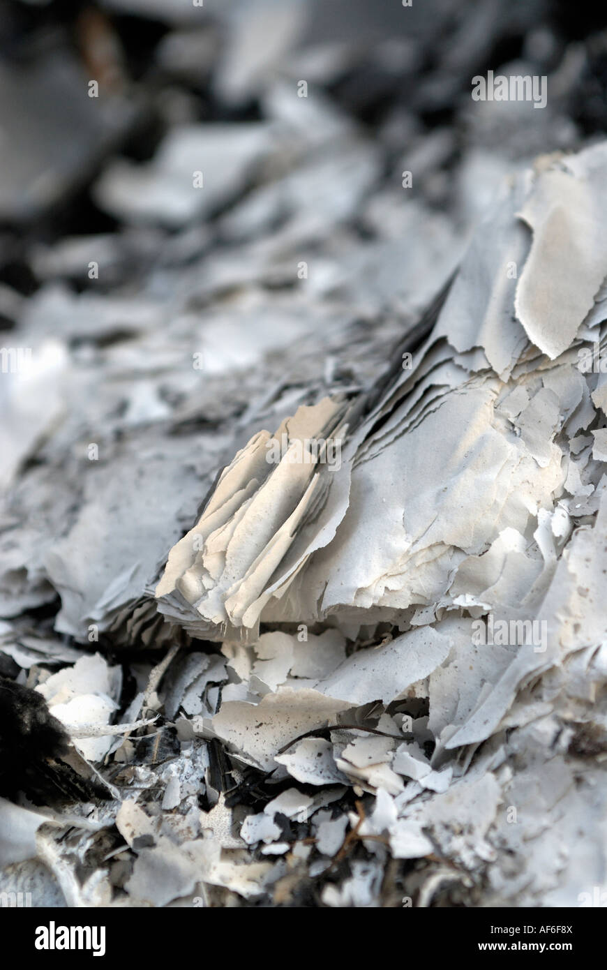ash of paper Stock Photo Alamy
