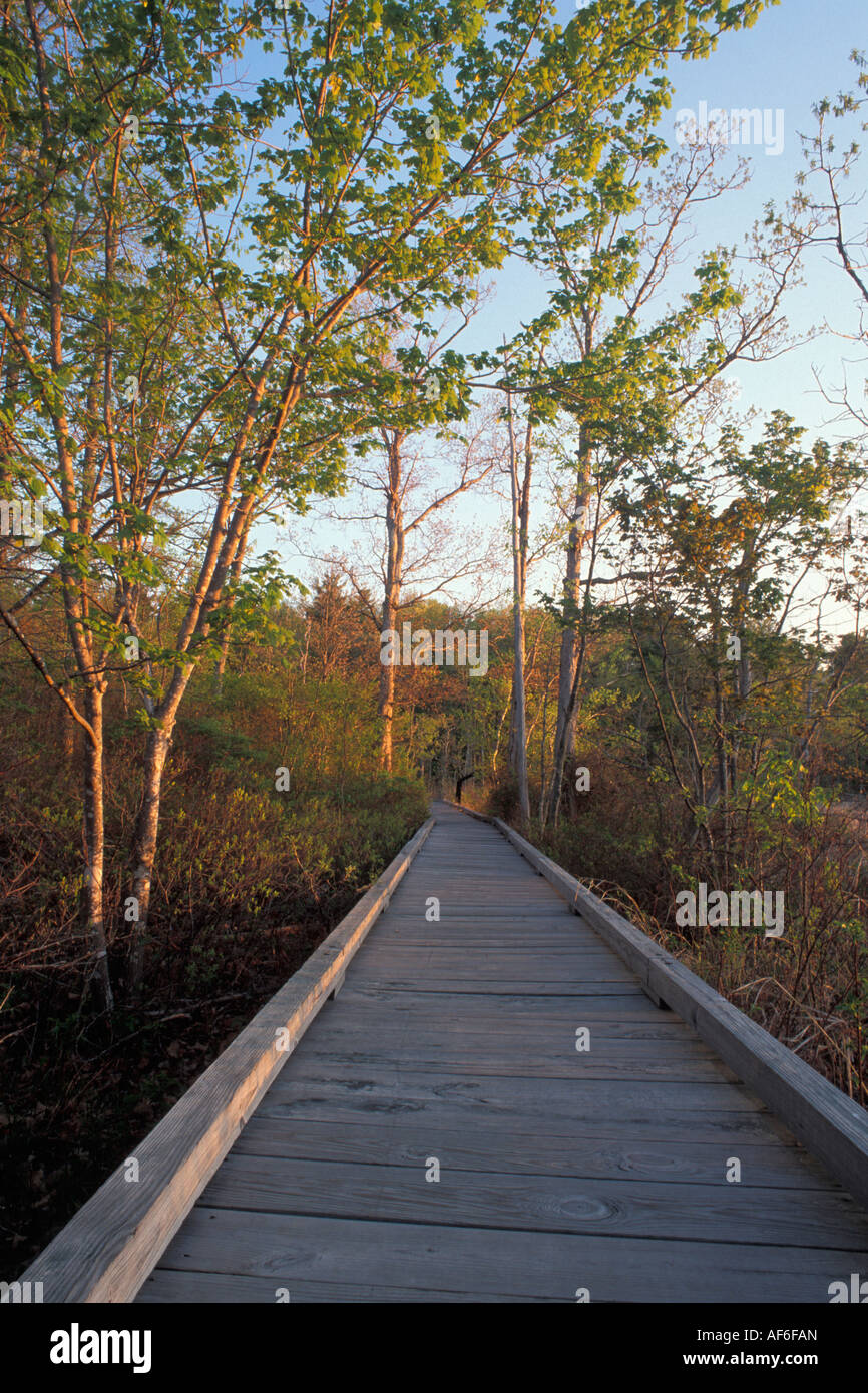 Boardwalk at the Great Bay National Estuarine Research Reserve, Great
