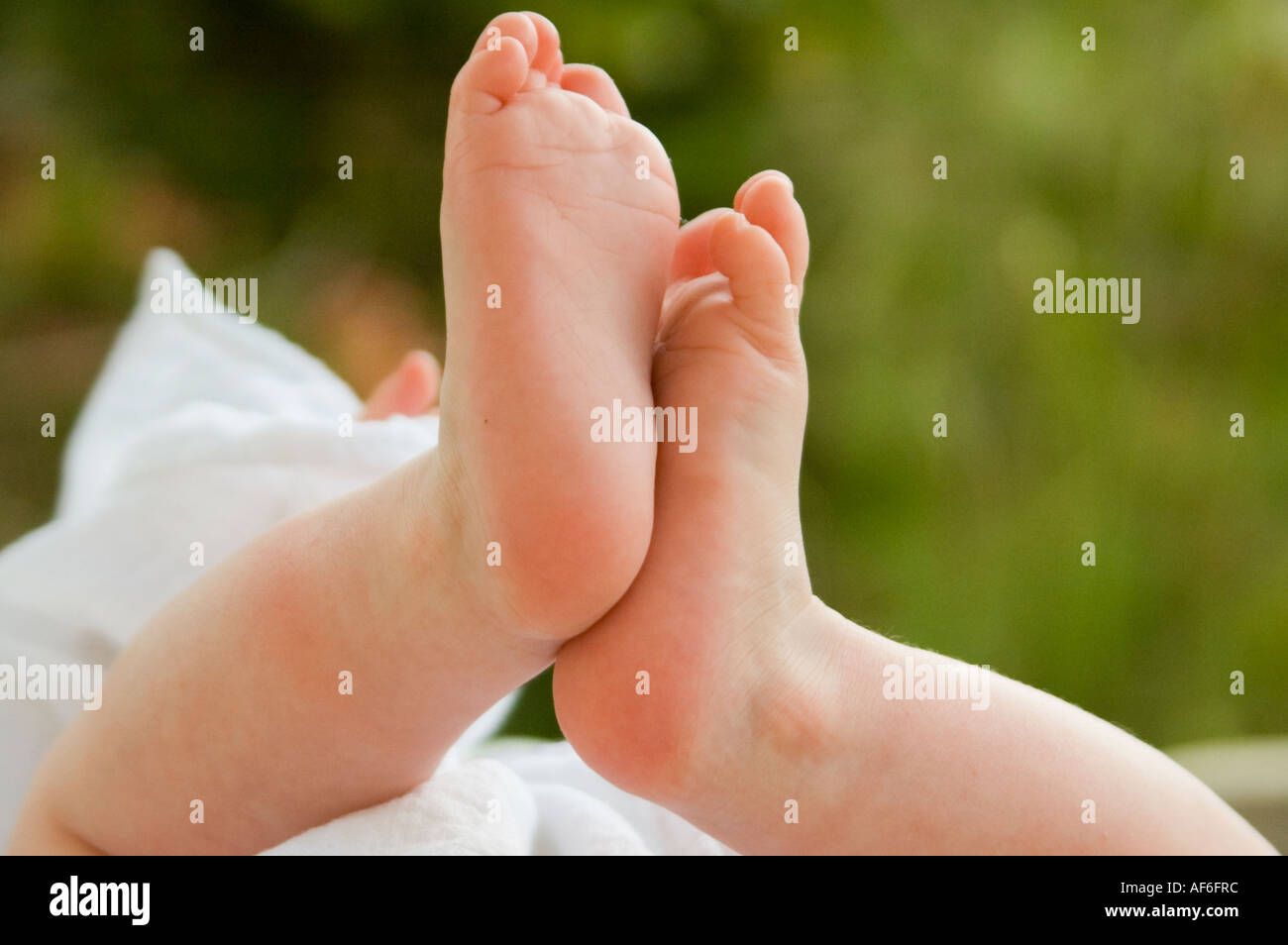 Horizontal close up of a caucasian baby's tiny pink feet. Stock Photo