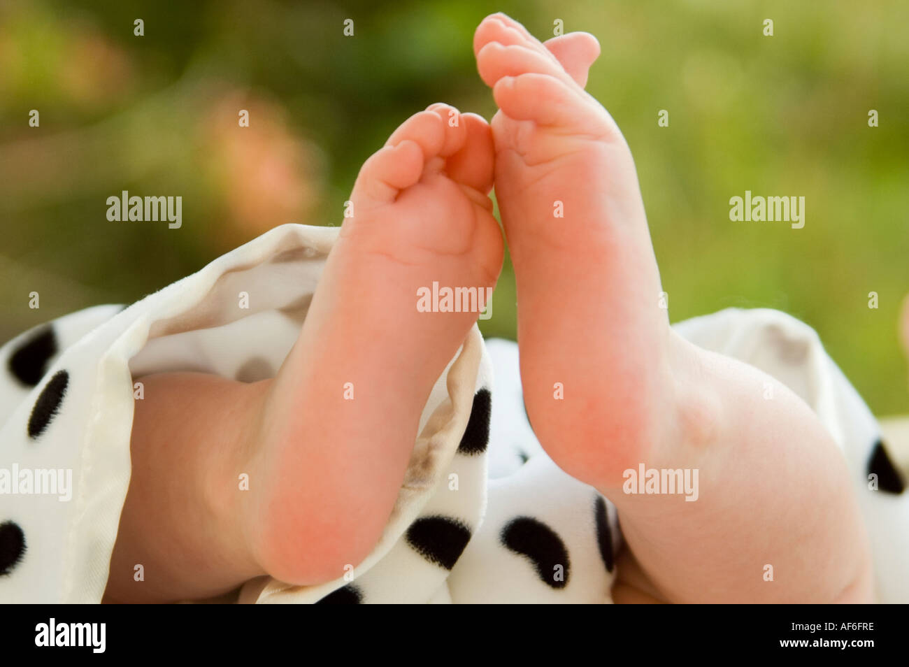 Horizontal close up of a caucasian baby's tiny pink feet. Stock Photo