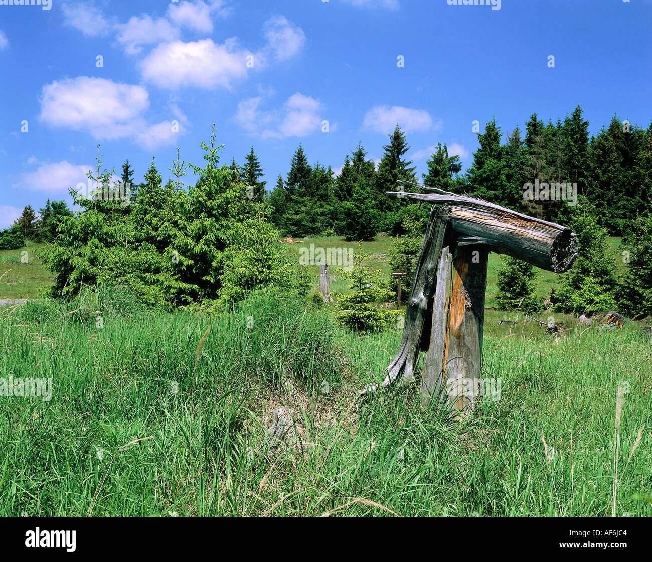 geography / travel, Germany, Hesse, Waldecker Land, National Park Kellerwald-Edersee, Additional-Rights-Clearance-Info-Not-Available Stock Photo