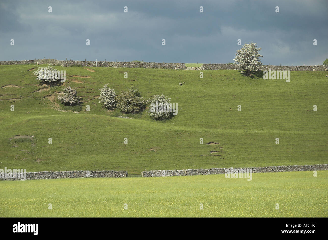 Dales Way scenery Stock Photo - Alamy