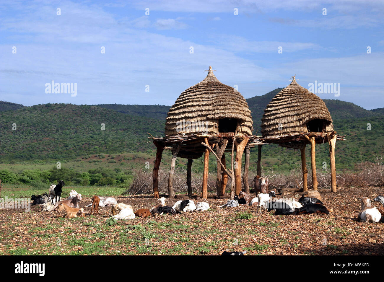 geography / travel, South Sudan, agriculture, two granaries, goats, Toposa tribe, near Nyanyagachor, Additional-Rights-Clearance-Info-Not-Available Stock Photo