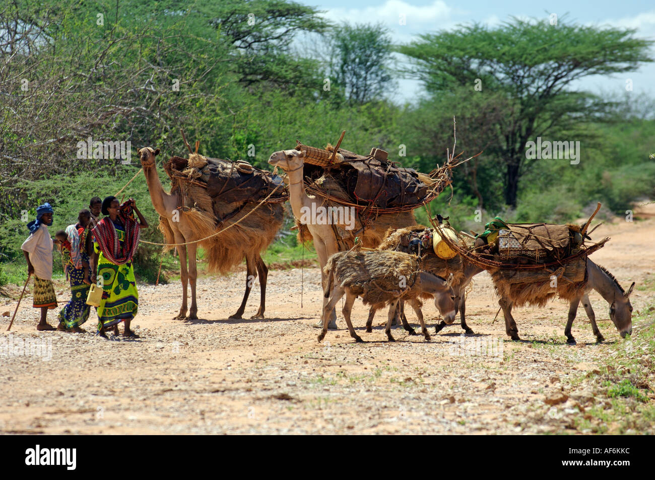 Nomadic somali tribes hires stock photography and images Alamy