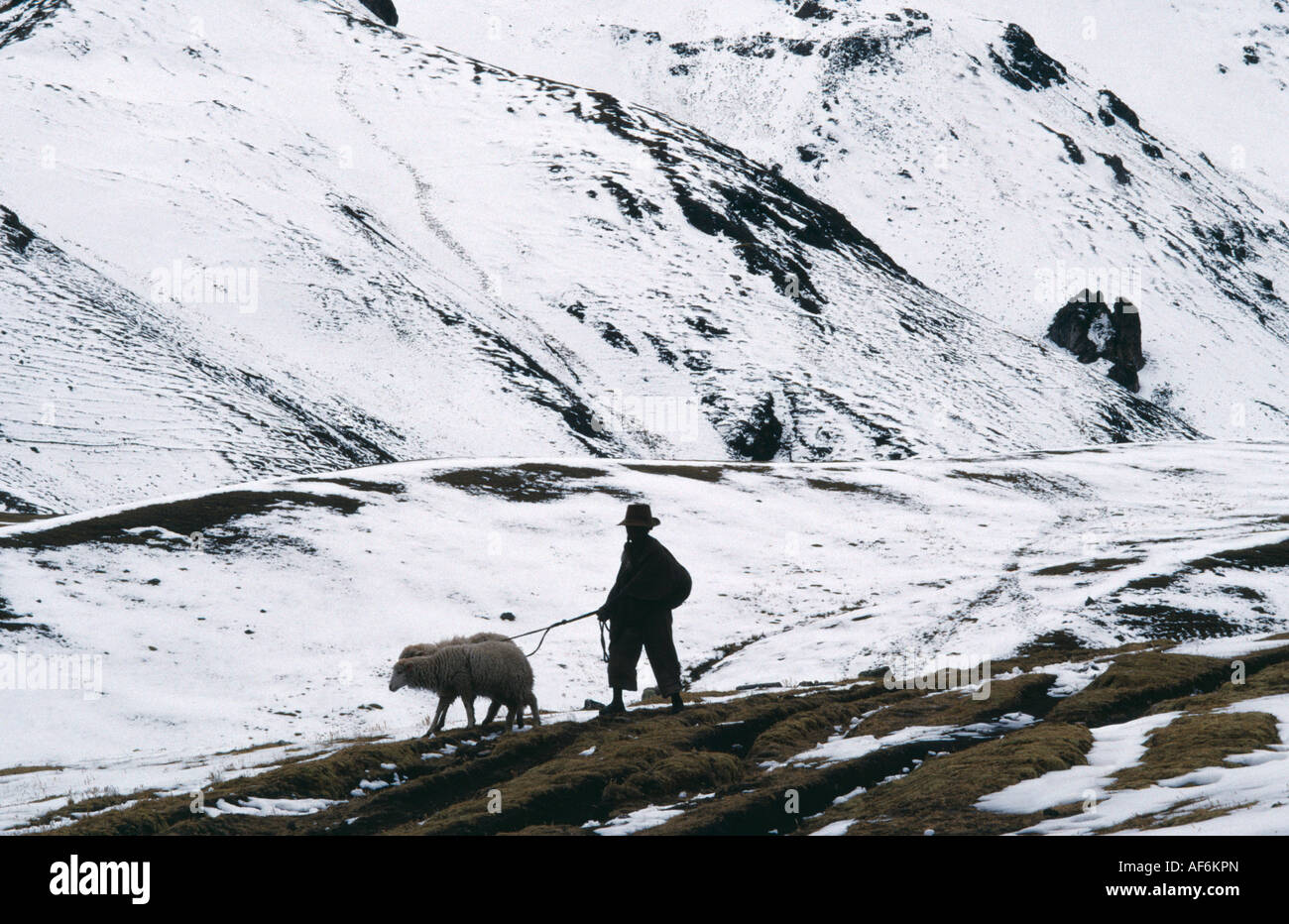 PERU Cordillera Vilcanota Stock Photo Alamy