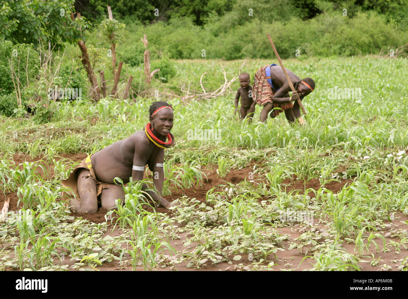 geography / travel, South Sudan, agriculture, Toposa village, near Nyanyagachor, two women working on field, Eastern Africa, Southern Sudan, sorghum, millet, farming, people, , Additional-Rights-Clearance-Info-Not-Available Stock Photo