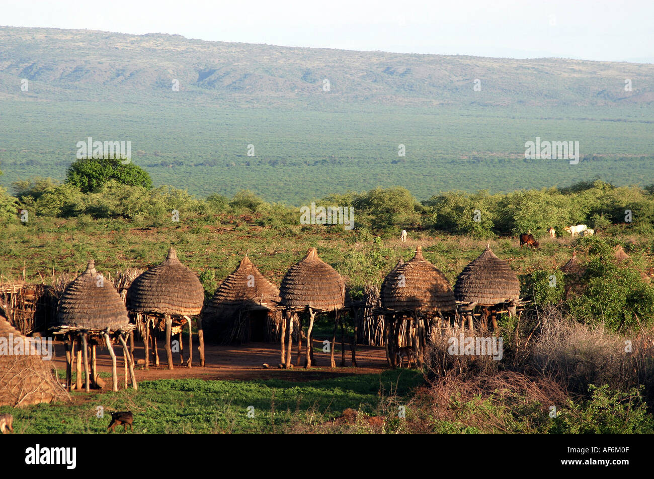 geography / travel, South Sudan, landscapes, Toposa village, near  Nyanyagachor, huts, Additional-Rights-Clearance-Info-Not-Available Stock  Photo - Alamy
