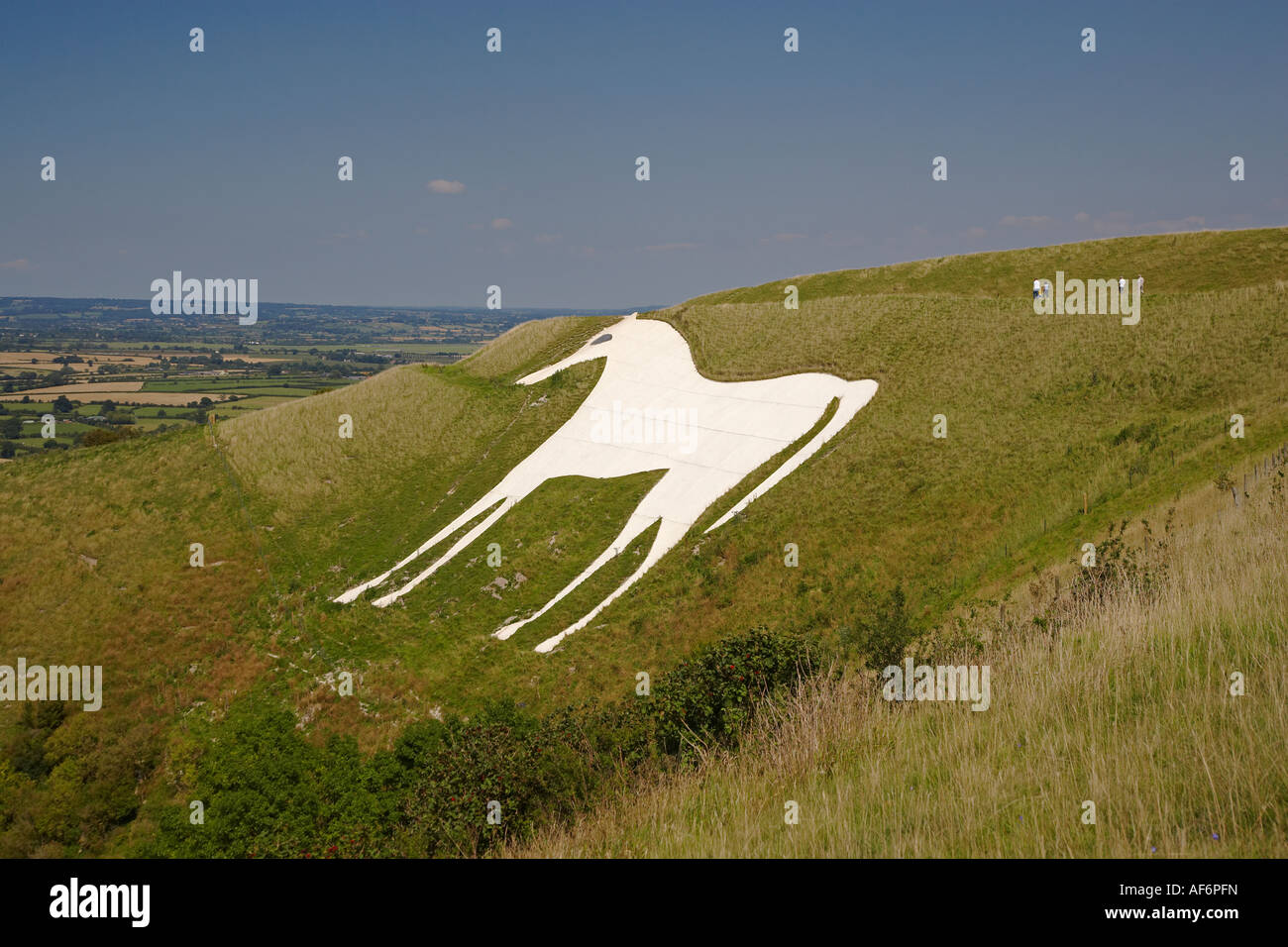 White Horse, Westbury, Wiltshire, England, UK Stock Photo Alamy