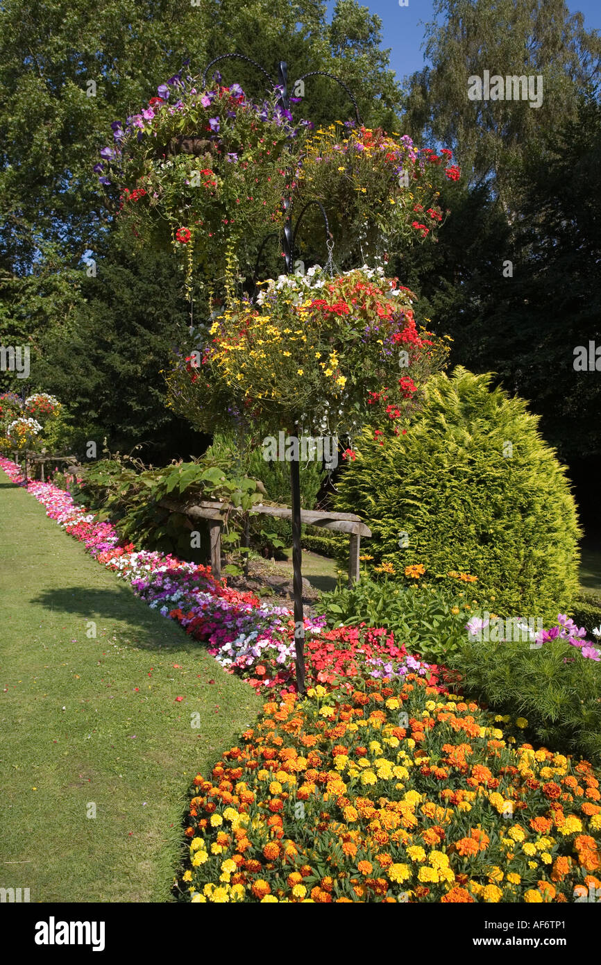 Hanging baskets of flowers and marigolds in bedding in public gardens Wales UK Stock Photo