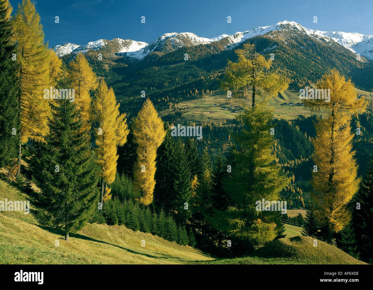 Puster geography / travel, Austria, Tyrol, landscape / landscapes, Carnic Alps ...