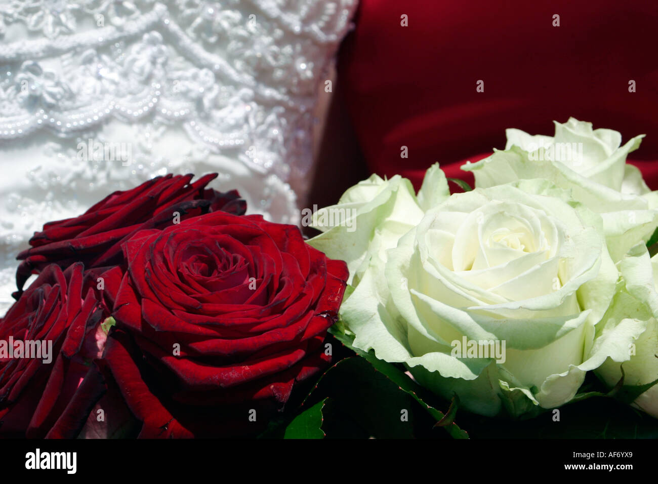 wedding dress and roses Stock Photo - Alamy