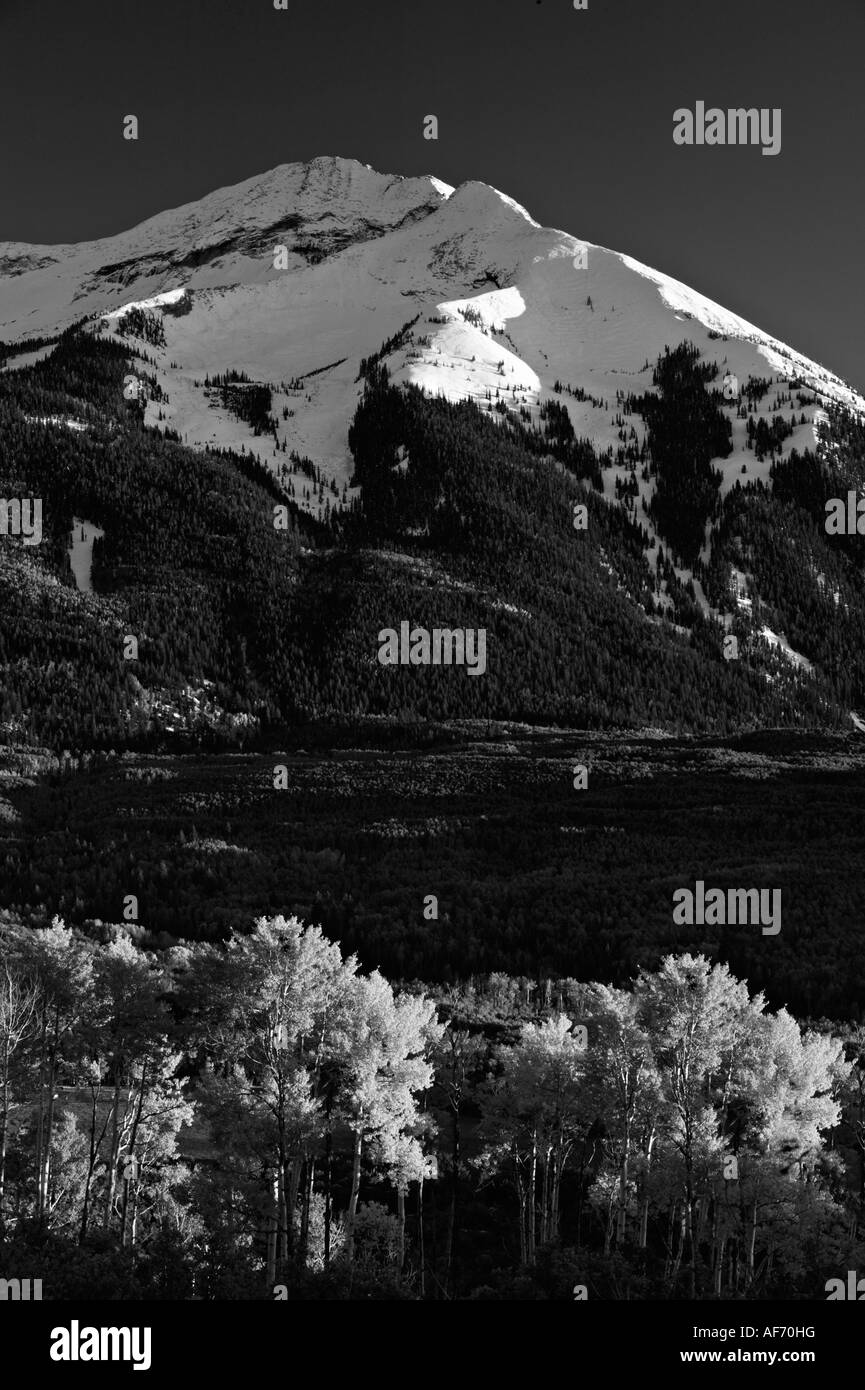 Gunnison national forest Stock Photo Alamy