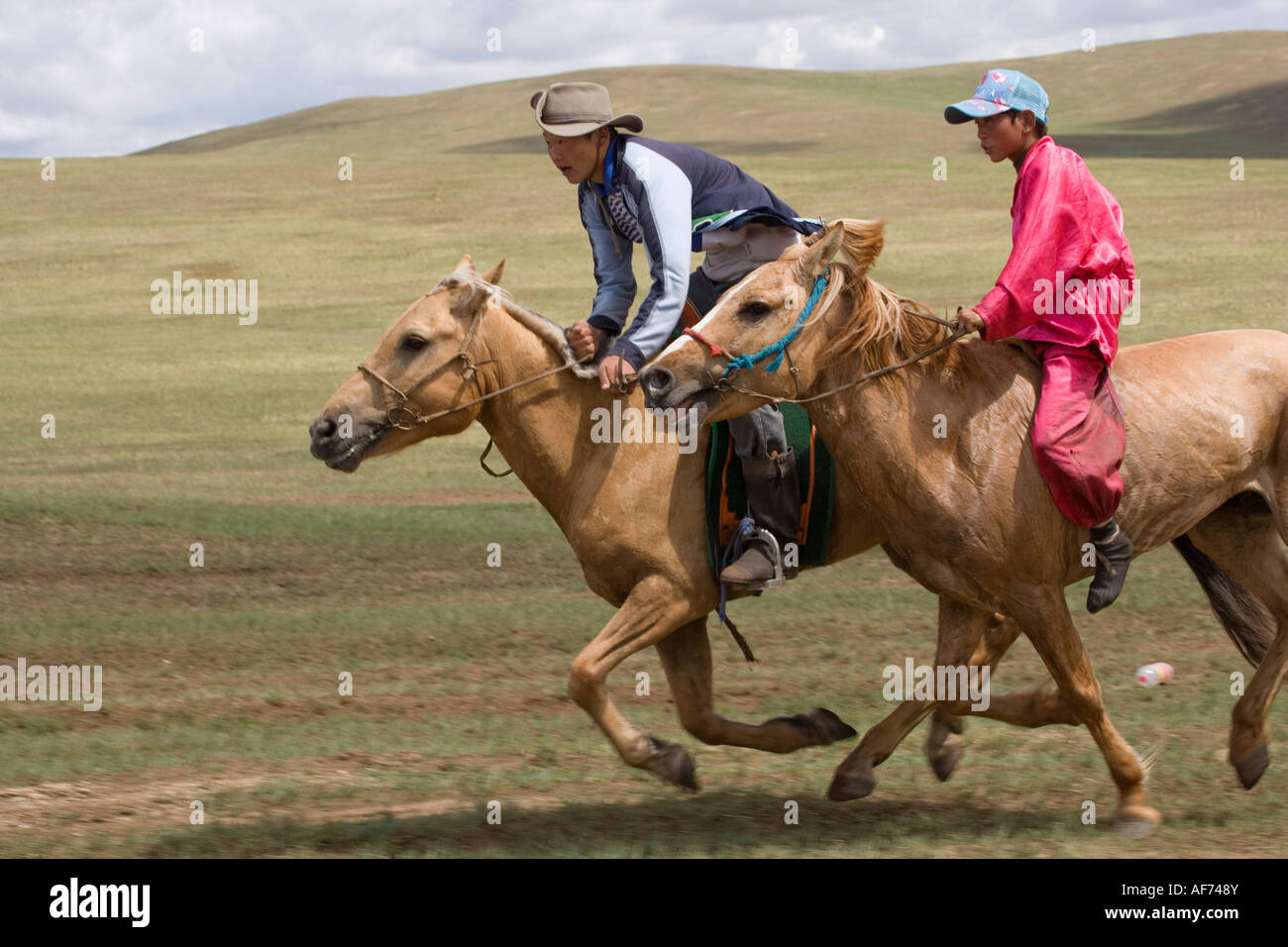 horse race racing training Stock Photo - Alamy