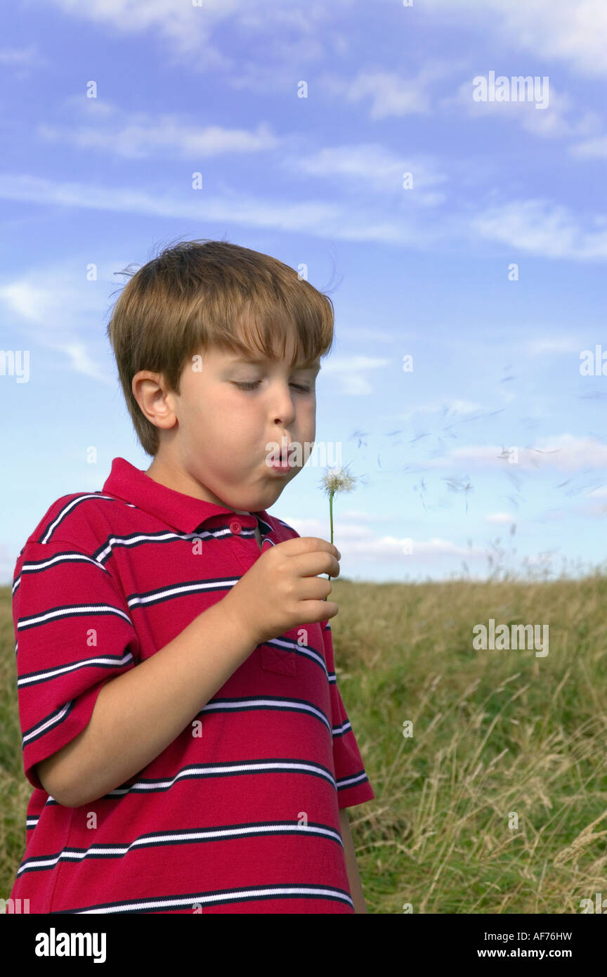 Young boy blowing the seeds from a dandelion Stock Photo