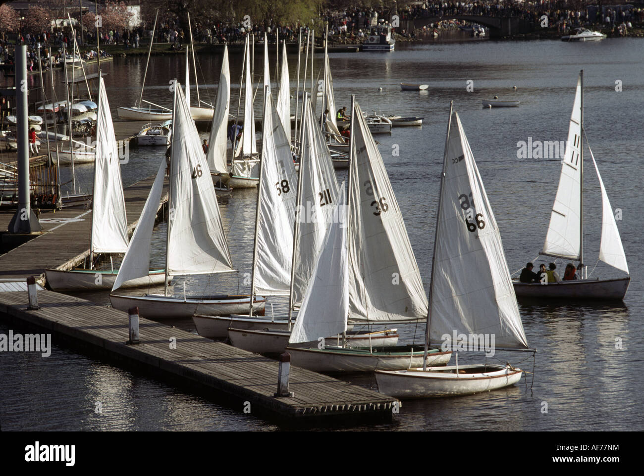 Sail boats from a community sailing club are seen at dock on the Charles  River in Boston Stock Photo - Alamy