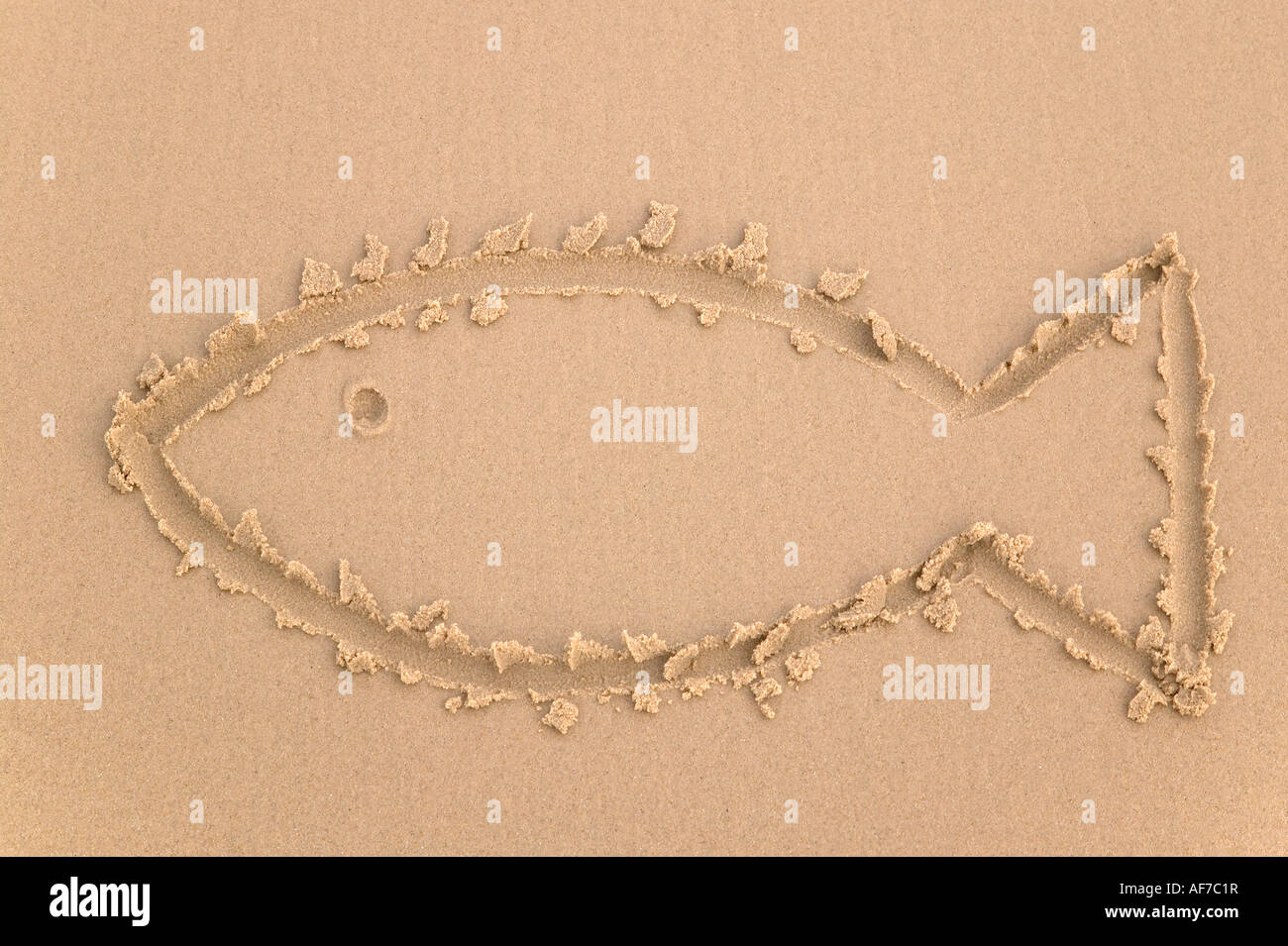 Fish drawing hires stock photography and images Alamy