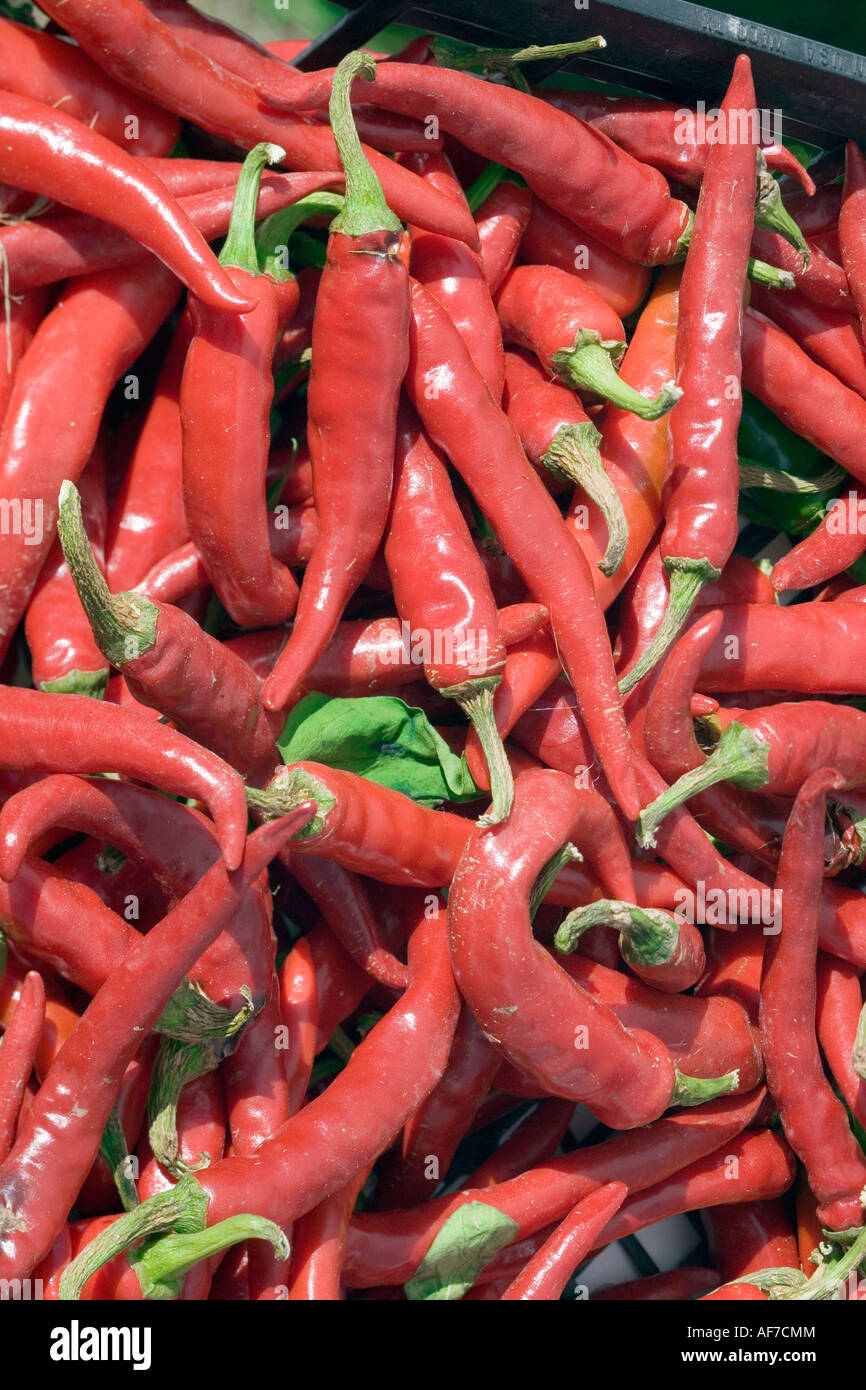 Red hot pepper chili hi-res stock photography and images - Alamy