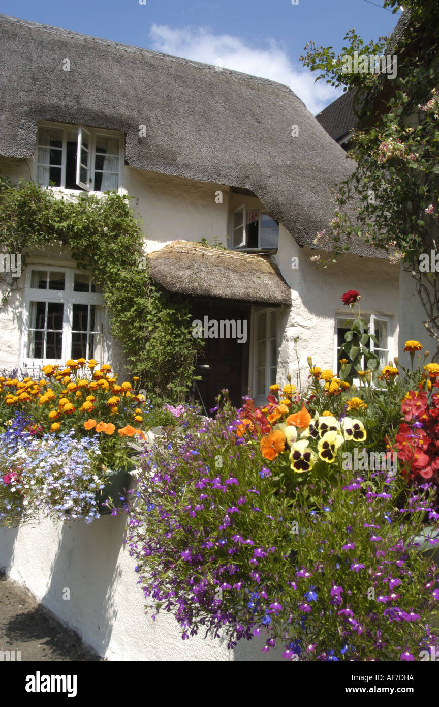 Whitewashed dartmoor cottages hires stock photography and images Alamy