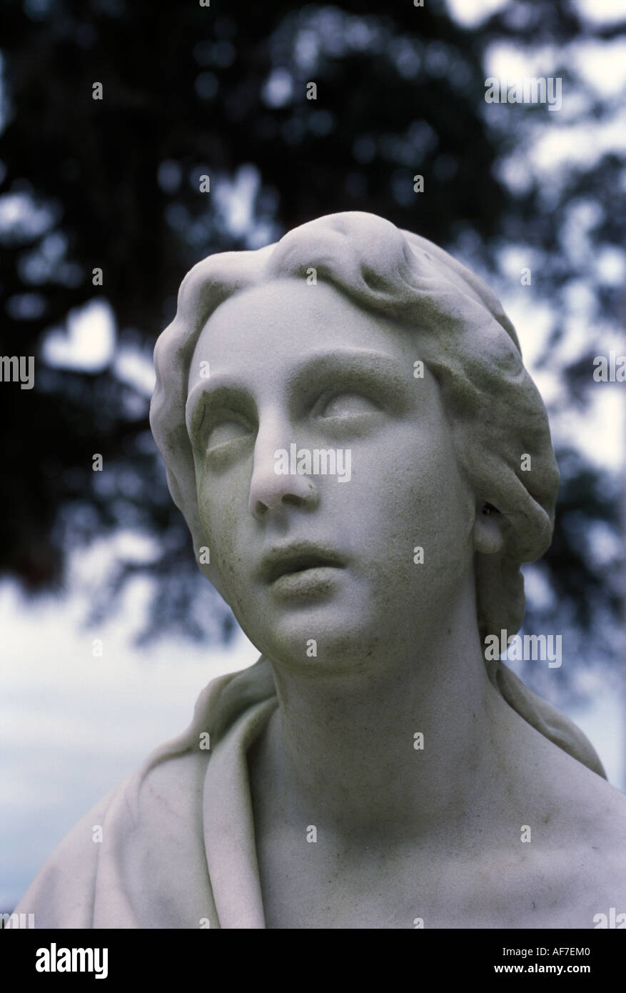 Face of female statuary staring vacantly under Southern tree Stock