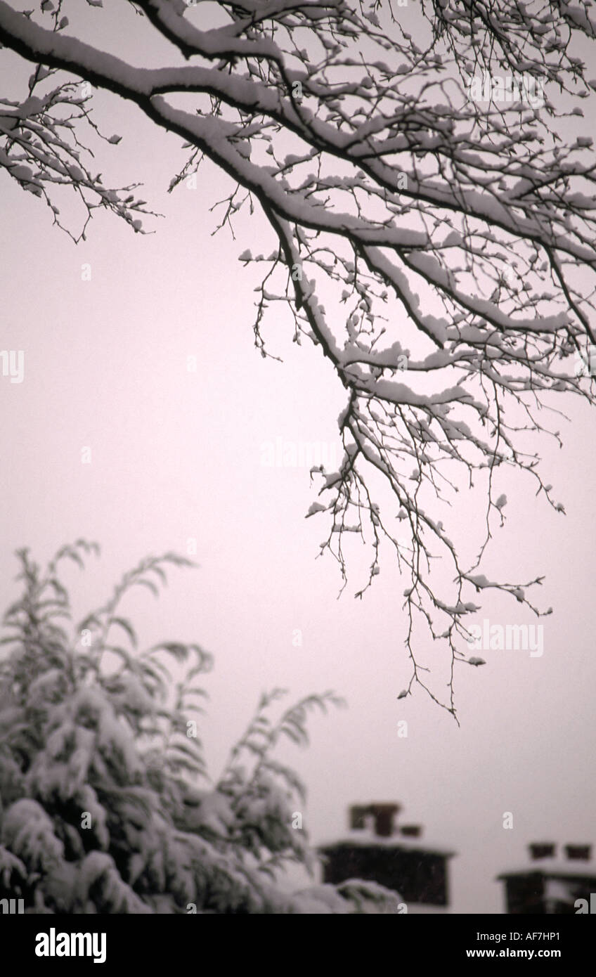 A still winters day Stock Photo