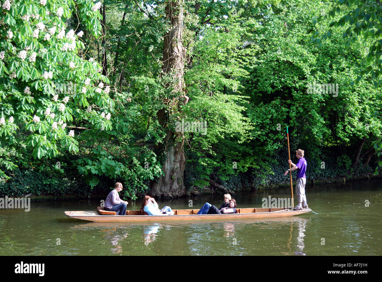 Students punting on River Cherwell, Oxford, Oxfordshire, England, United Kingdom Stock Photo