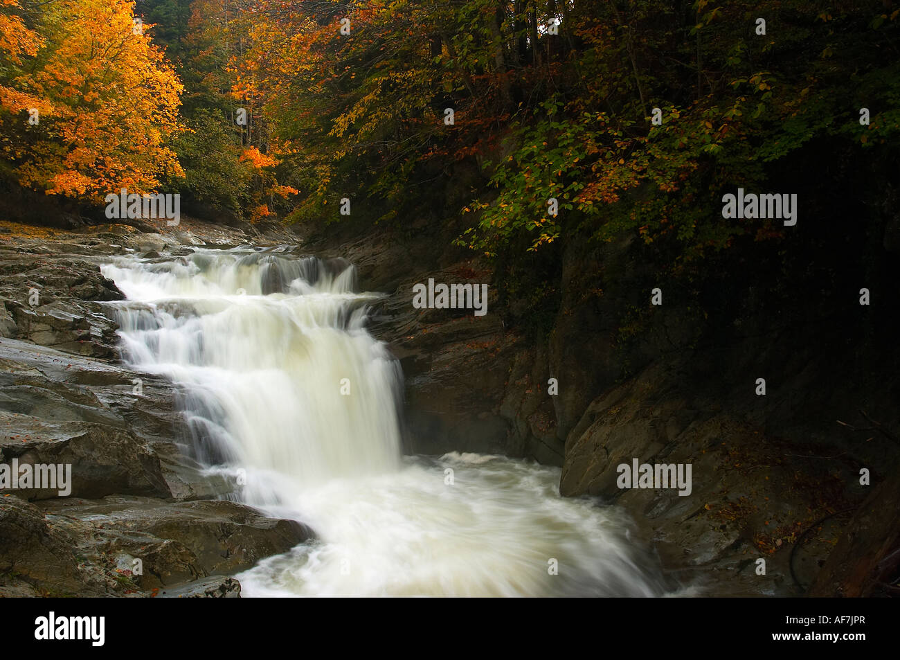 Hayedo y cascada del cubo,  Selva de Irati Navarra Spain. Beech Forest and waterfall of Cubo, Iraty Forest, Navarre, Spain. Stock Photo