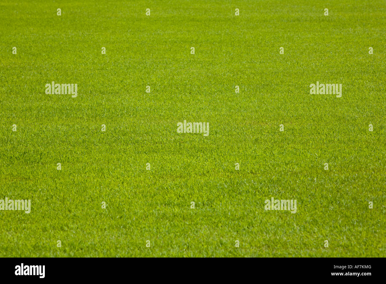 Field grass hi-res stock photography and images - Alamy