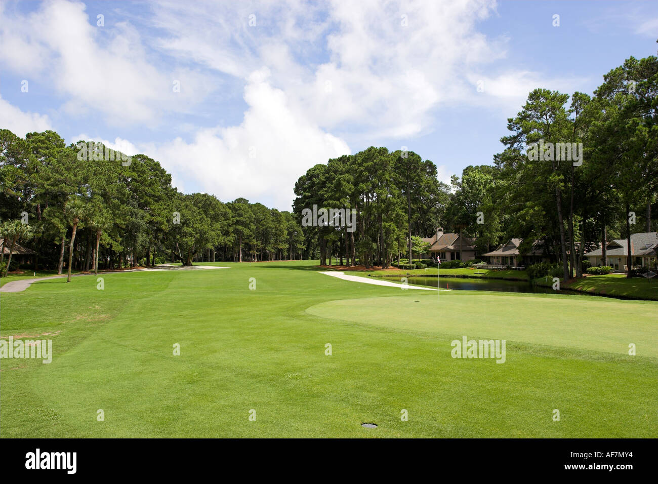 Putting green on a golf course on Hilton Head Island, South Carolina