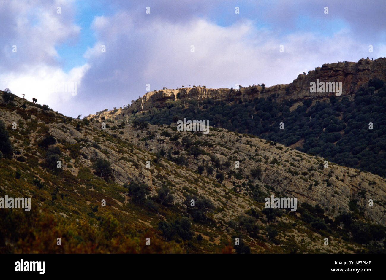 Mid Atlas Mountains Morocco Stock Photo