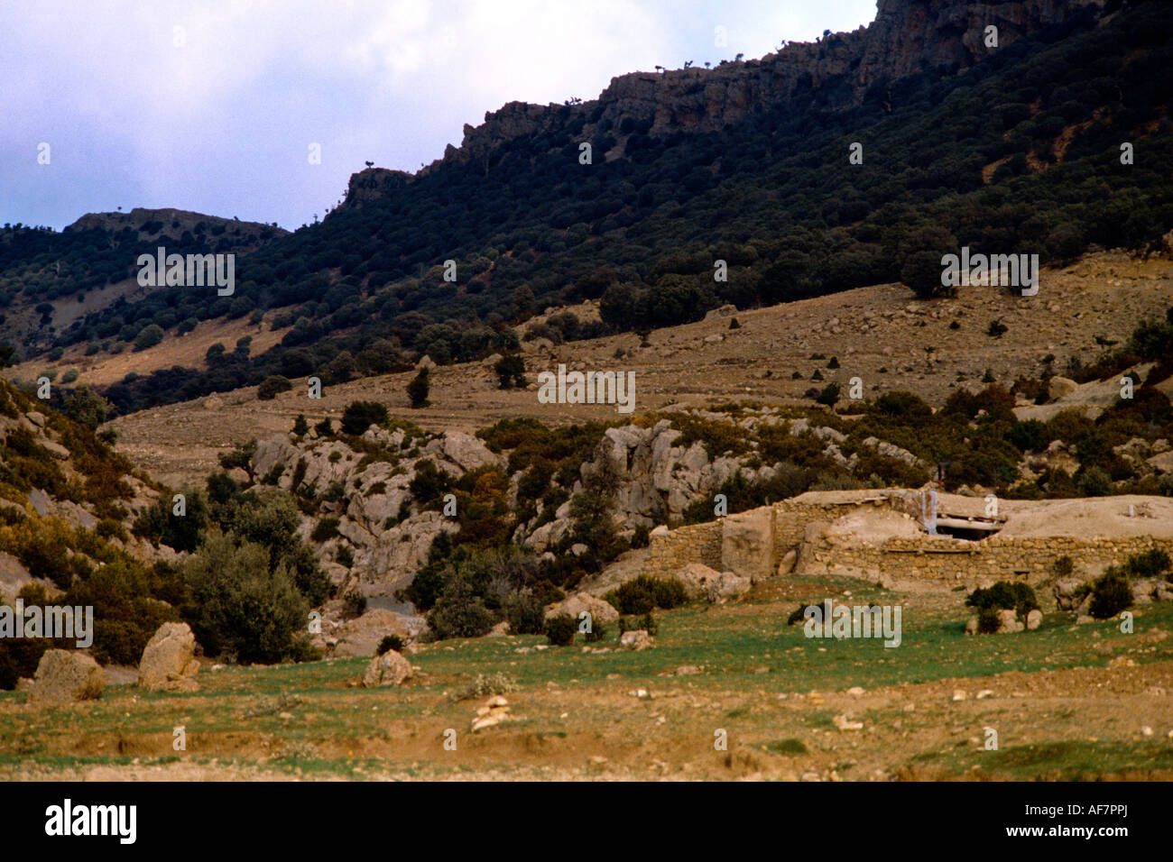 Mid Atlas Mountains Morocco Stock Photo