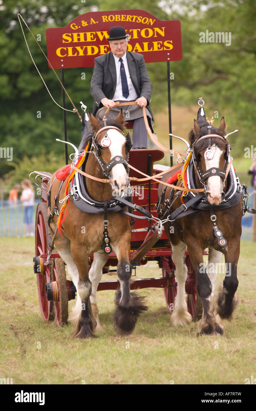 Heavy horse pulling cart hires stock photography and images Alamy