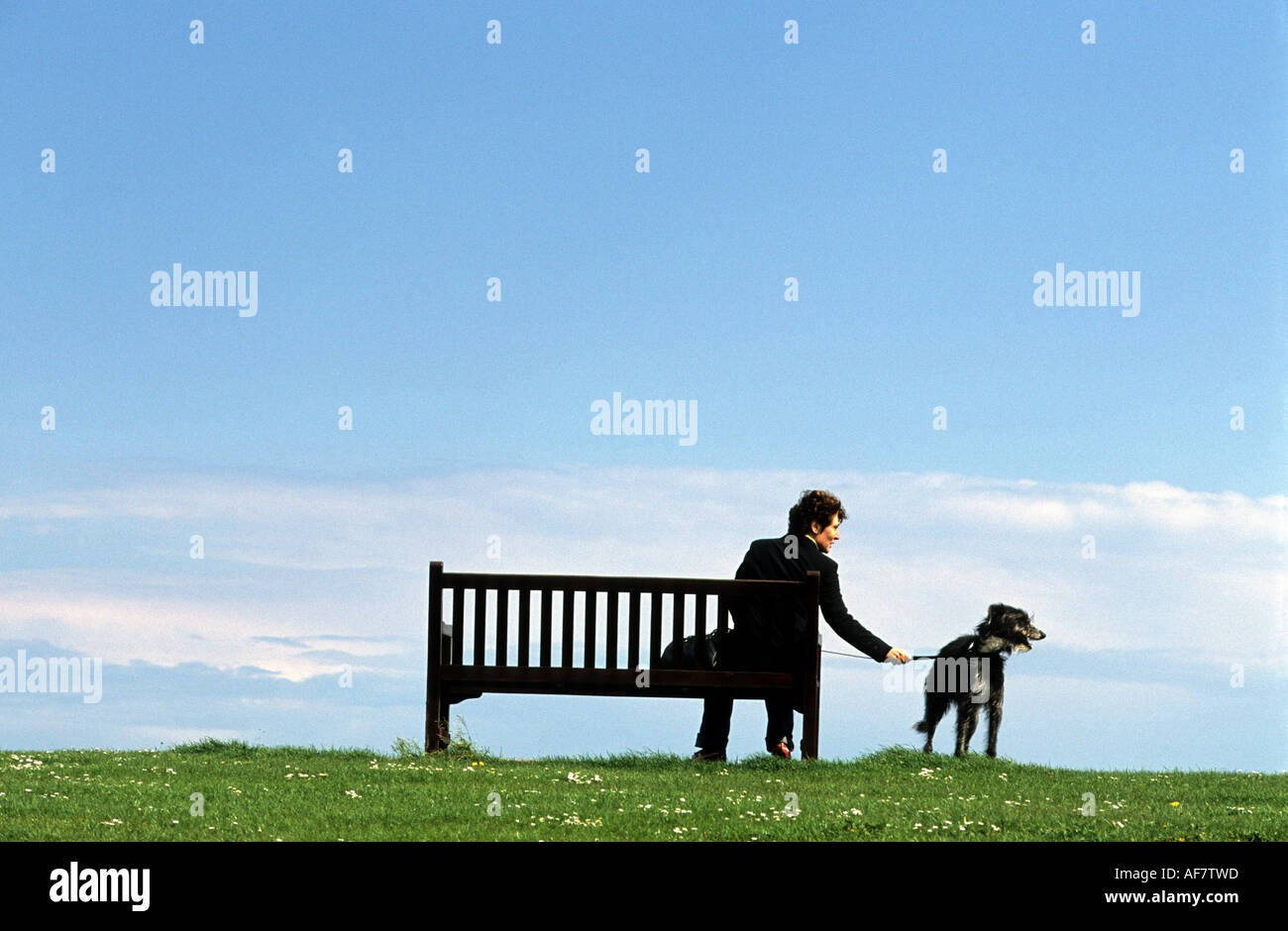 Pet dog owner relaxing beside the North Sea, Frinton on Sea, Essex, UK Stock Photo Alamy