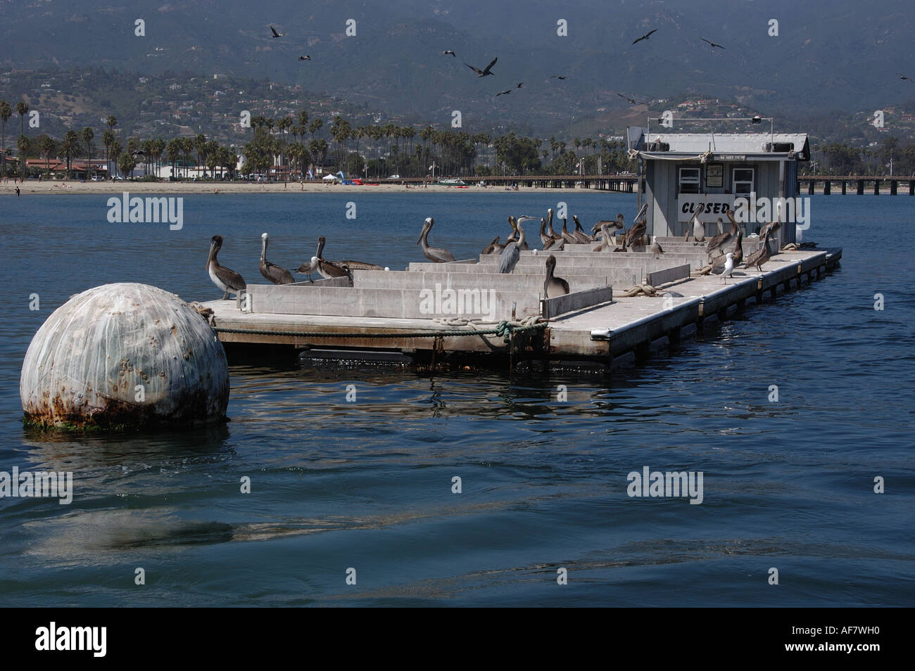Bait Barge High Resolution Stock Photography and Images - Alamy