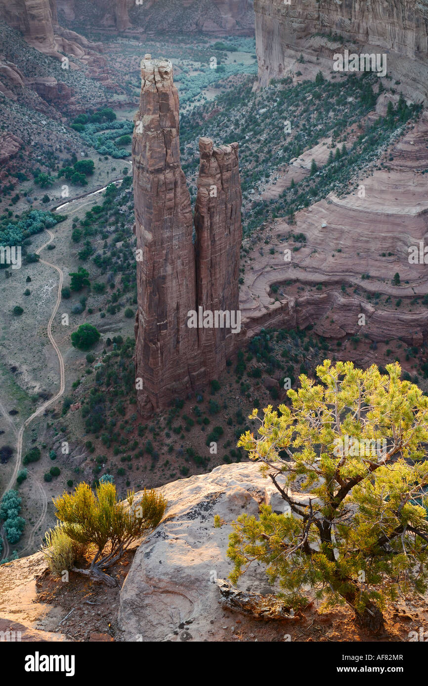 Spider Rock From the Overlook, Canyon de Chelly Stock Photo