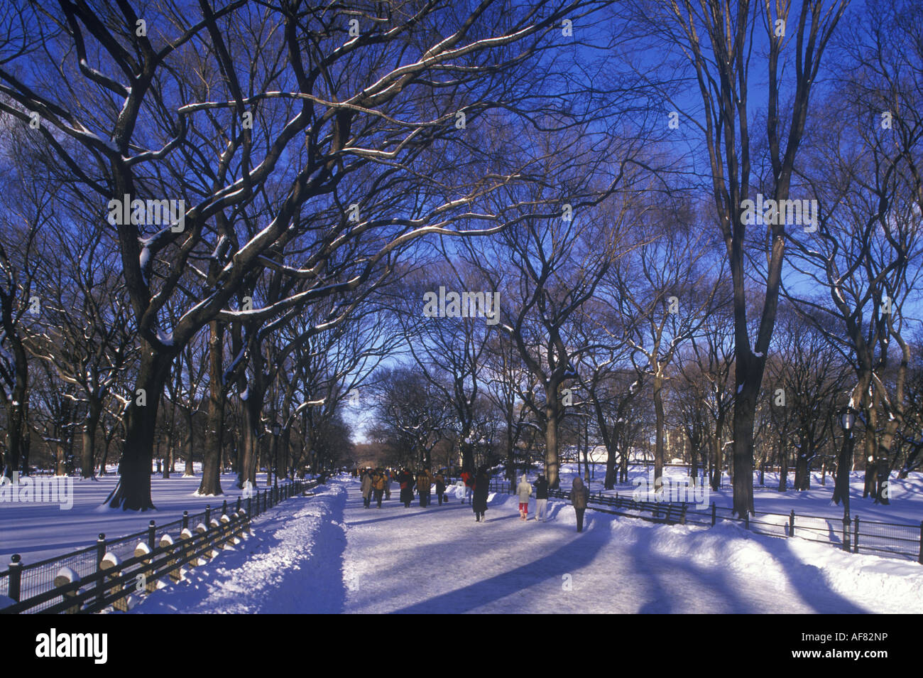 ELM WALK THE MALL CENTRAL PARK MANHATTAN NEW YORK CITY USA Stock Photo