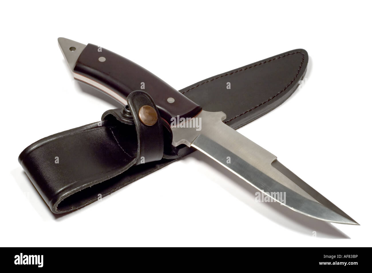 series isolated on white metal Hunter knife with case Stock Photo Alamy