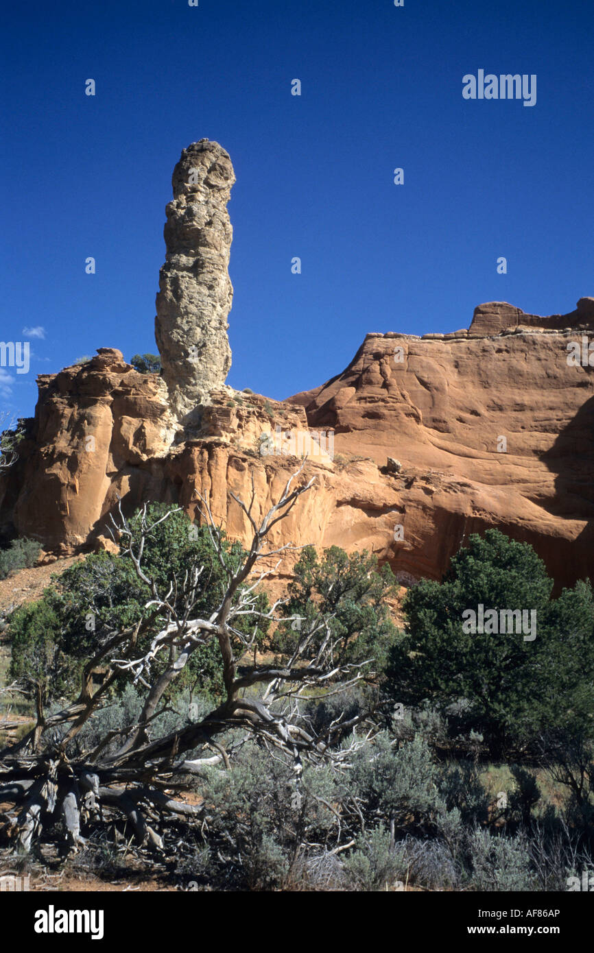 Kodachrome Basin State Park, Near Cannonville, Utah, USA Stock Photo