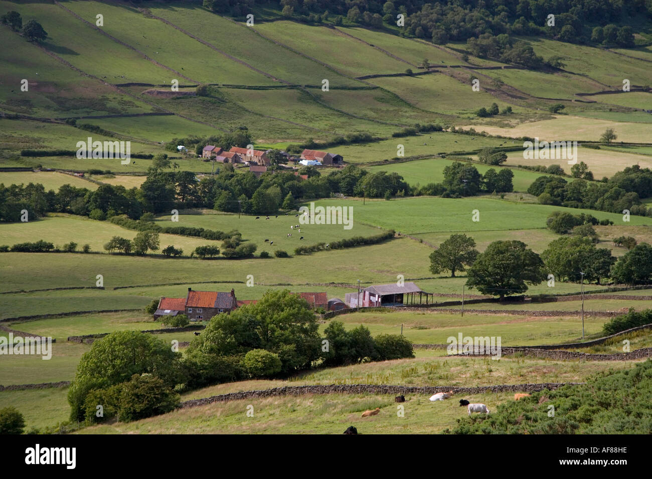 Great Fryup Dale Yorkshire UK July Stock Photo Alamy