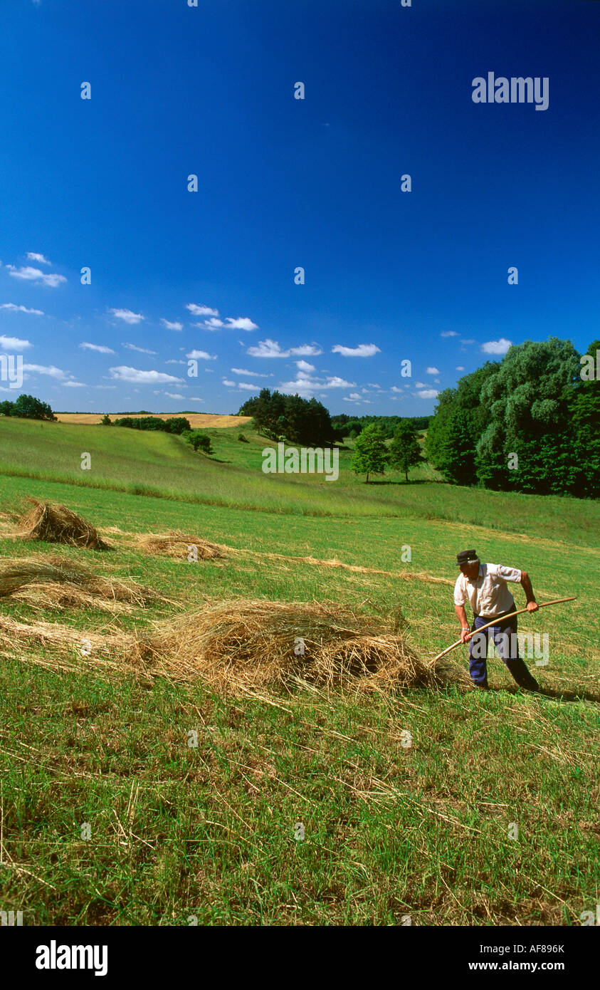 Harvesting the hay hi-res stock photography and images - Alamy