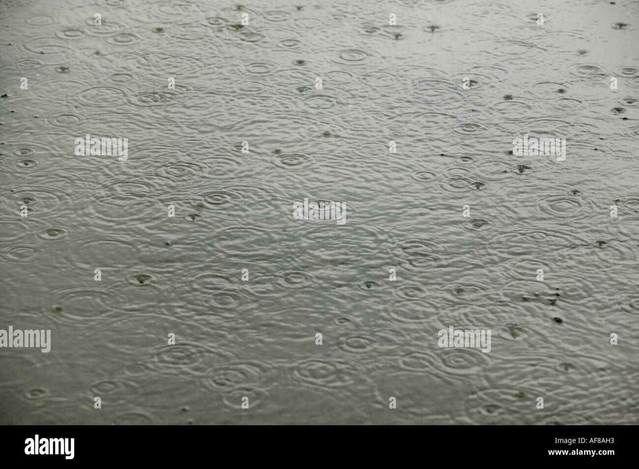 raindrops falling on a puddle Stock Photo - Alamy