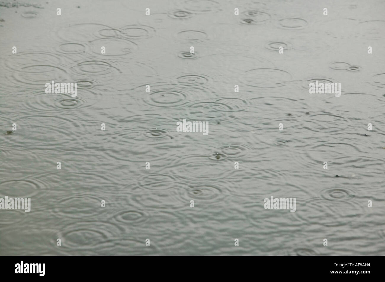 raindrops falling on a puddle Stock Photo - Alamy